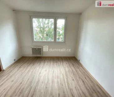 Pronájem bytu 2+kk Jílové 36 m - Fotografie 2