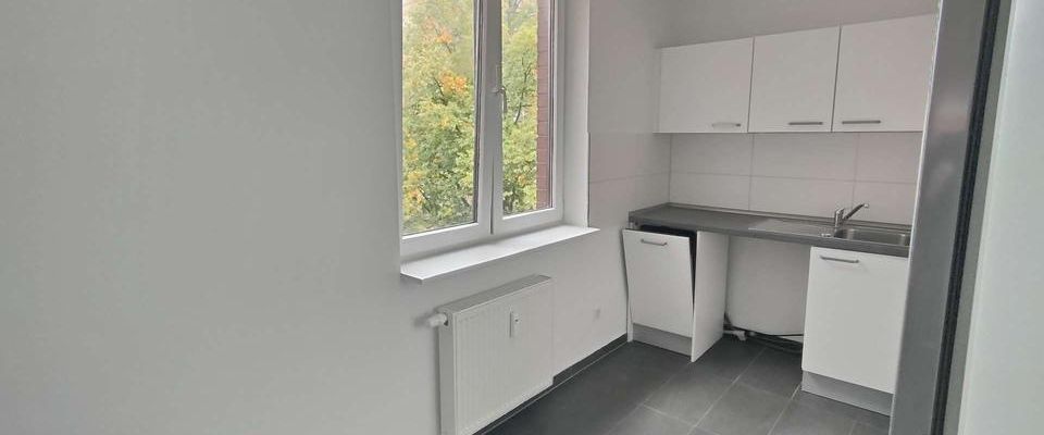 Wohnen im Schwanenquartier / moderne und renovierte 3 Zimmerwohnung mit Küche! - Foto 1