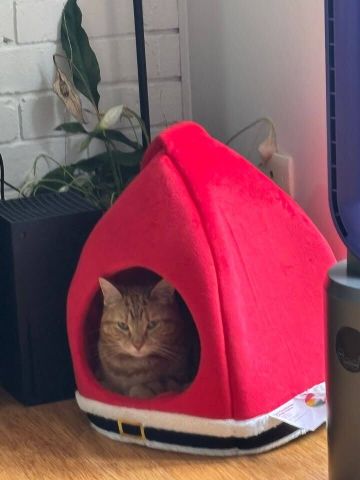 Ascot Vale - Photo 2