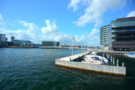 Islands Brygge, 2300 København, København S, Danmark (208-1823-01-001) - Foto 5