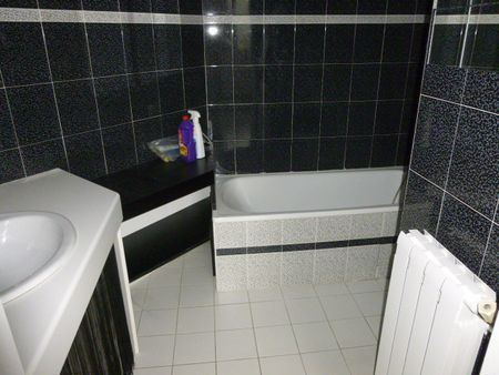 Location Appartement 1 pièce 31m² TOULOUSE 31100 - Photo 4