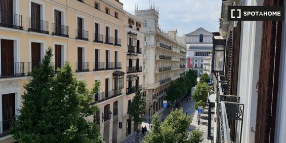 madrid, Community of Madrid 28013 - Photo 3