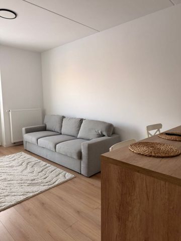 Mieszkanie do wynajęcia 2 pokoje Jasielska, Poznań 45 m² - Photo 3