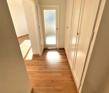 Malagnou - Champel - Foto 6