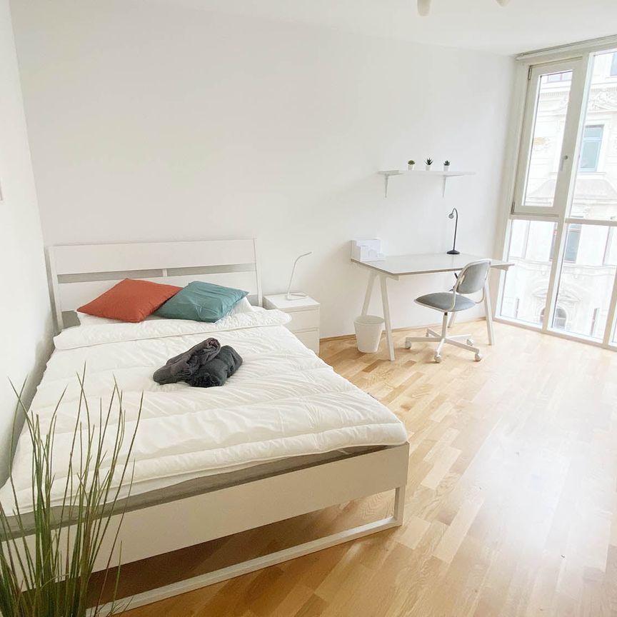 Schönbrunnerstraße Top 9 Zimmer 2 - Photo 1