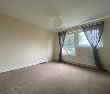 4 Bedroom Property To Rent - Photo 2