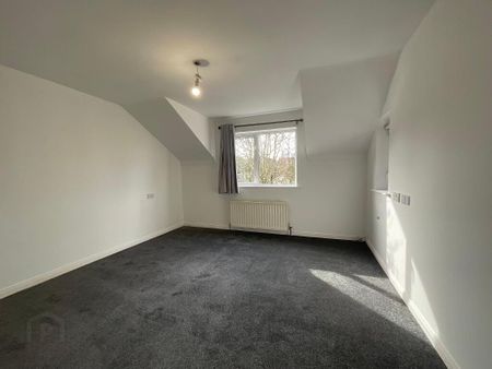 46 Alveston Park, Belfast, BT8 8RP - Photo 3