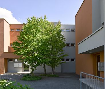 MIETEN OHNE KAUTION - Wohnen im Dorf - ruhig, ländlich, entspannt - Foto 6