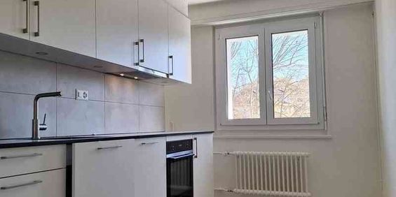 2.5 Zimmer, 41 m², 3. Stock - Photo 3