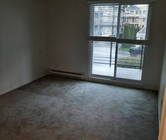 2-Bedroom 2BATH in Whiterock - Photo 1