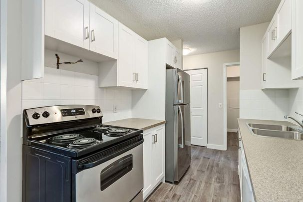 Renovated Suite - 2 Bedroom - Photo 1
