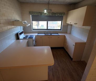 Solid Unit - Photo 6