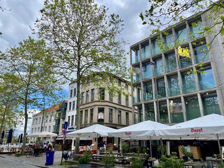 Goed onderhouden appartement in een kleinschalige residentie - Foto 3