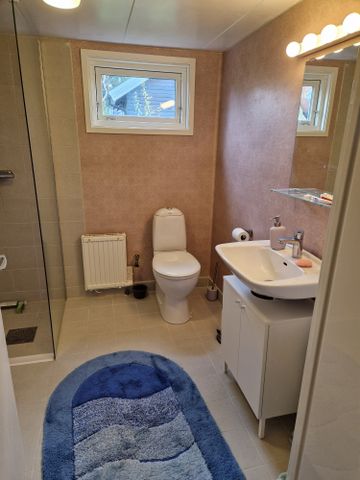 Skogsvägen, Vejbystrand - Foto 3