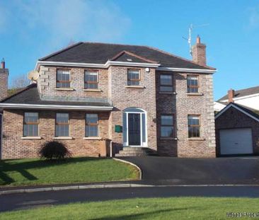 5 bedroom property to rent in Craigavon - Photo 4