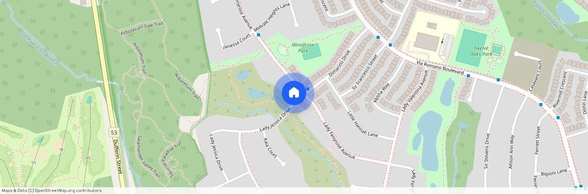 BASEMENT138 LADY FENYROSE AVENUE, Vaughan, Patterson