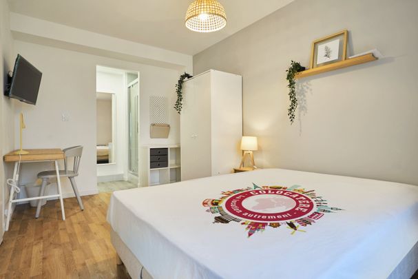 JARDINIERS C11 Colocation 3 chambres à Nancy - Photo 1