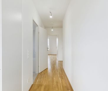 Wohnen am Rosenhügel im Wildgarten: 3-Zimmer-Neubau-Wohnung mit Bal... - Photo 6