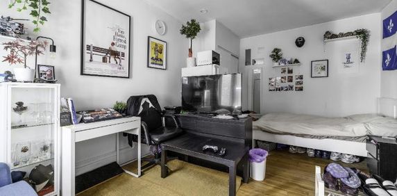 Loft à louer Montcalm / Saint-Sacrement juillet 2026 - Photo 2