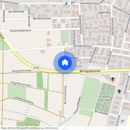 4153, Reinach, Bielstrasse, 29