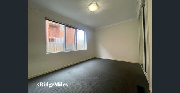 Freshly Renovated 2-Bedroom Apartment in the Heart of Hawthorn - Photo 1