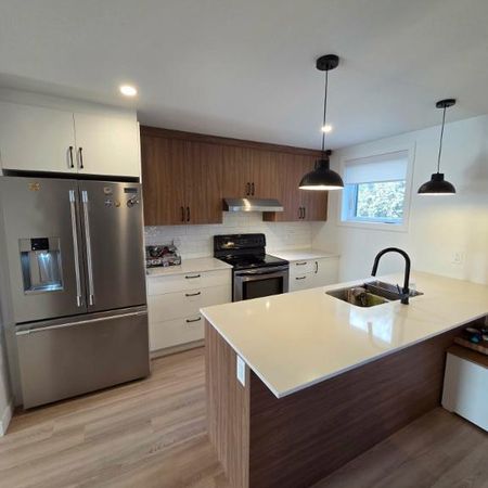 Grand 4½ Neuf 2024 – Demi Sous-sol – Parking – Balcon – Walk-in - Photo 4