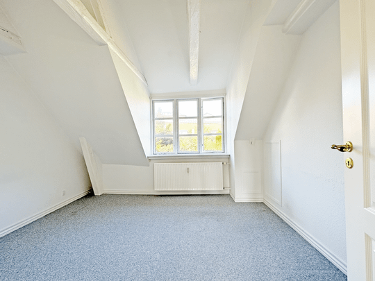 Sct. Ibs Gade - Photo 1