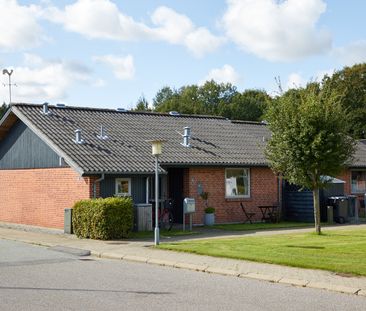 Skelgårdsvej, Egely, Lodsgade, Doktorvænget og Tonnismarken - Foto 6