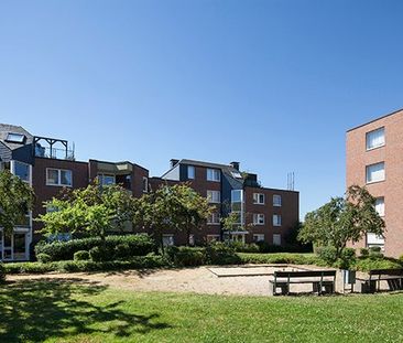 Auf dem Steinbüchel 13, 53340 Meckenheim OT Meckenheim - Foto 3