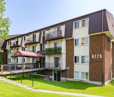 Appartement 3 ½ à louer Loretteville juillet 2026 - Photo 4