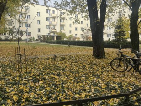 Przytulne obok pl Wilsona - Фото 5