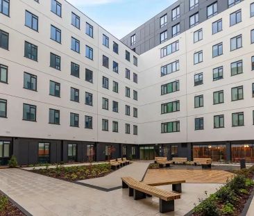 Standard Studio - Photo 5