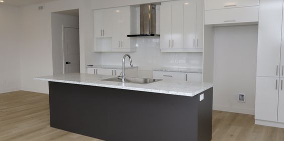 Appartement 4 ½ à Louer-Saint-Polycarpe - Photo 3