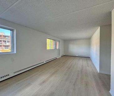 Grand appartement éclairé et chauffé - Photo 1