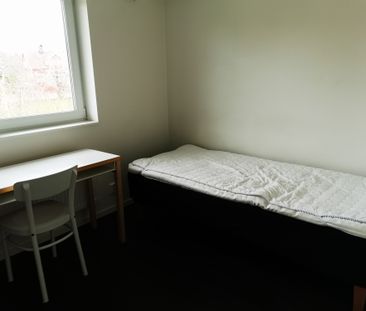 Backvägen 3 B och C - Photo 1