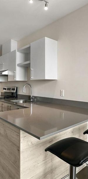 Standard Studio - 1428 Avenue Overdale, Montréal - Photo 1