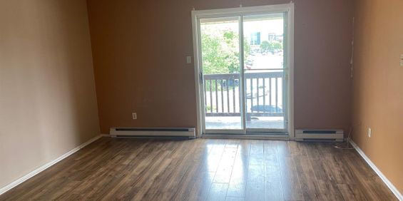 171 Boul. Hopital (Gatineau) Très Beau Logement De 2 Cc - Photo 3