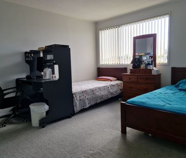 Property Management9 Delamare Court, Sunnynook - House for Rent - Photo 6