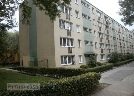 Mieszkanie na wynajem – Kraków – Bieńczyce – ul. Os. Albertyńskie - Zdjęcie 5