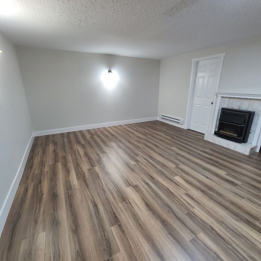 Spacious Basement Suite in Abbotsford - Photo 1