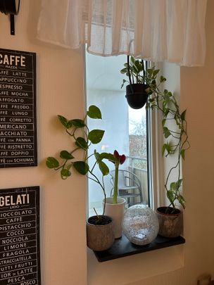 Mossgatan 103 - Foto 1