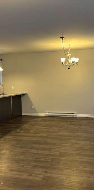 4 1/2 À LOUER (ST-DENIS-DE-BROMPTON) - Photo 1