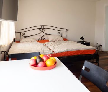 Möblierte Studios in Wetzikon ZH - Photo 2