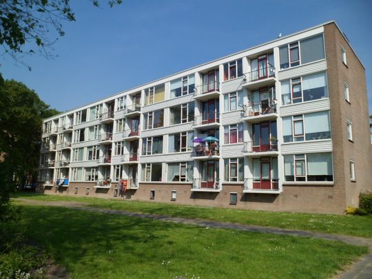 Te huur: Appartement Wilbertoord in Rotterdam - Foto 1