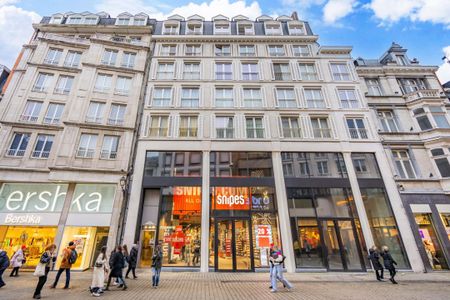 Rue Vinave d'Ile 20, 4000, Liège - Photo 3