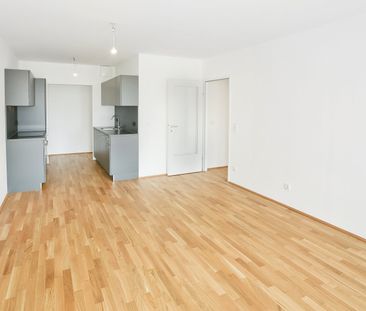 DER BALLON - ANKOMMEN UND ABHEBEN - NATURNAHES WOHNEN NAHE DER SEES... - Photo 1