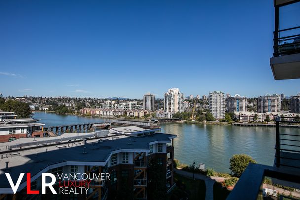 210 Salter Street, Unit #802 - Photo 1