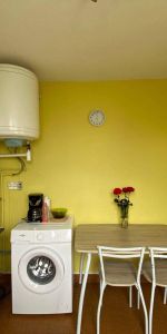Location appartement 1 pièce 30.44 m² à Romans-sur-Isère (26100) 4 - Photo 3