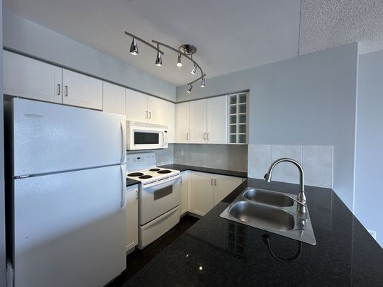 For Lease - 210 Victoria Street Unit# 3913, Toronto, Ontario - Photo 1