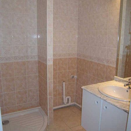 Location appartement 2 pièces 43.37 m² à Annemasse (74100) 4 - Photo 3